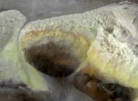 Source hydrothermale Hveravellir (Islande)